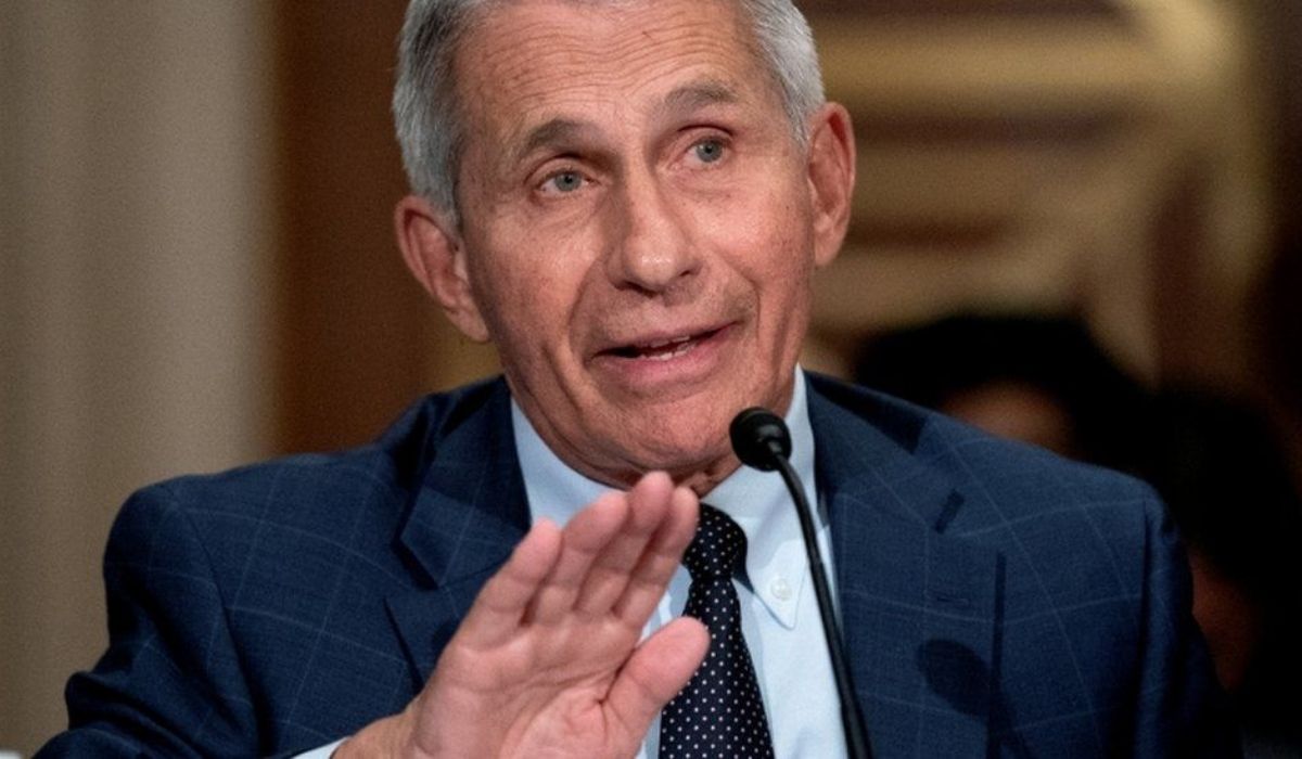 Covid: Fauci says US heading in wrong direction as cases rise